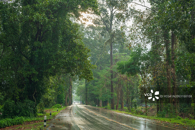 尖竹汶通仰纳隧道林荫路图片素材