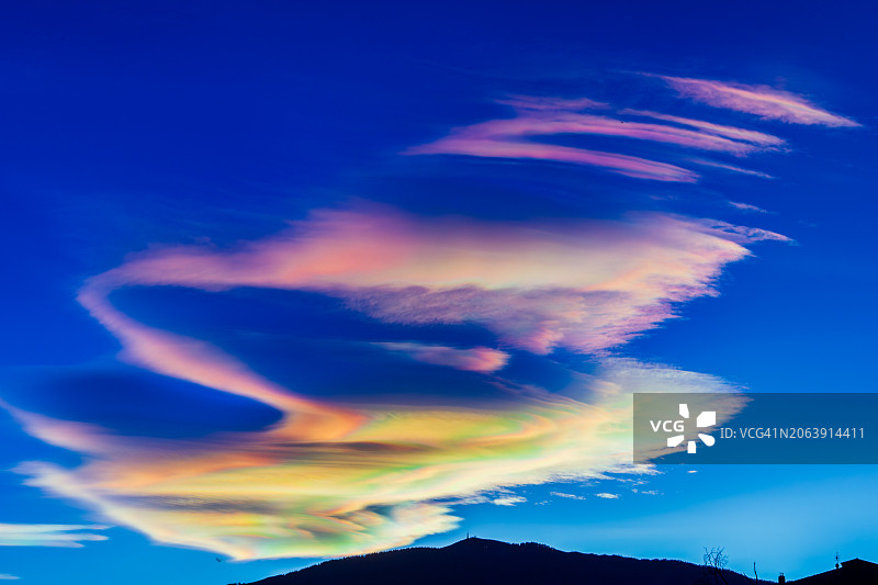 蓝天下树木剪影的仰视角度图片素材