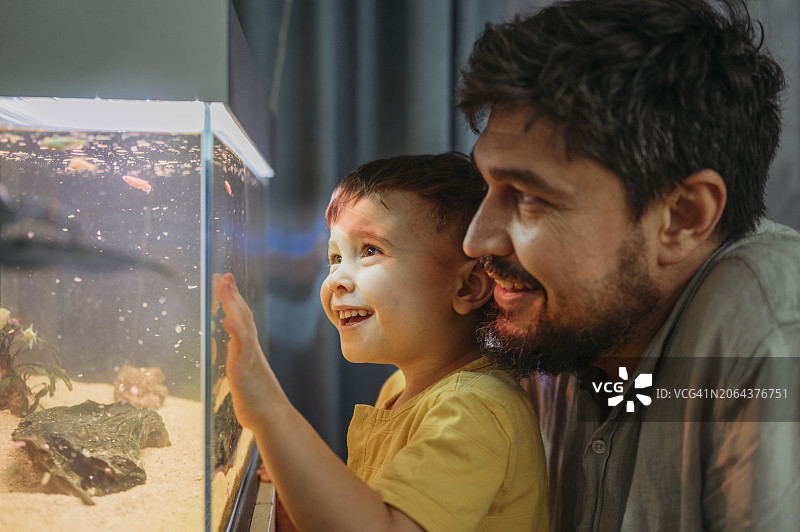 快乐的男孩和父亲在家中一起观赏鱼缸里的鱼图片素材
