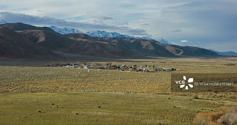 加利福尼亚孤松镇外的房屋群 - 航拍图片素材