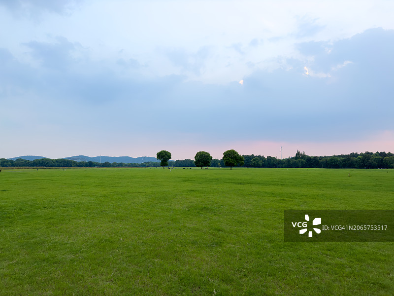 夏季绿色草坪图片素材