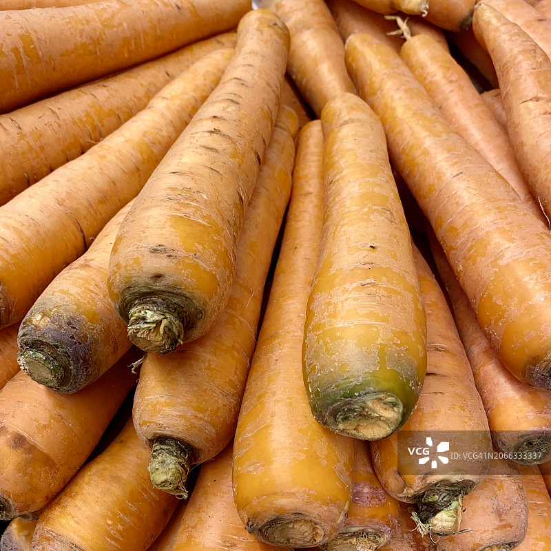 新鲜的胡萝卜图片素材