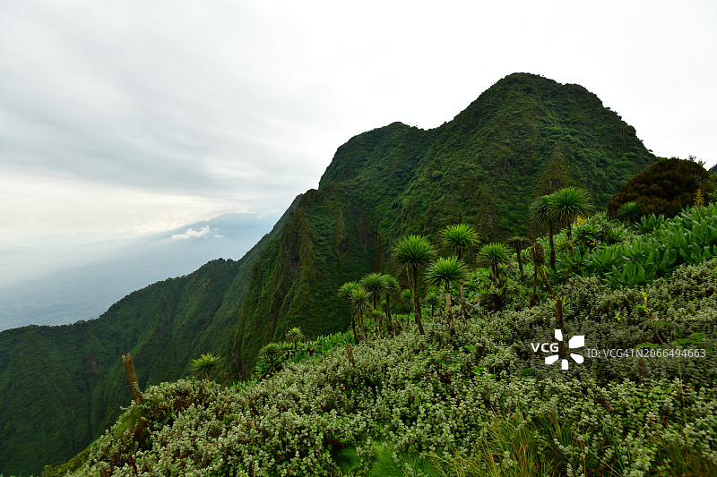 亚非高山地区的陡坡图片素材