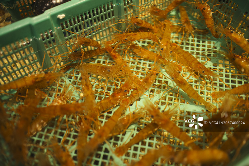 日本北海道函馆鱼市的日料食材特写图片素材