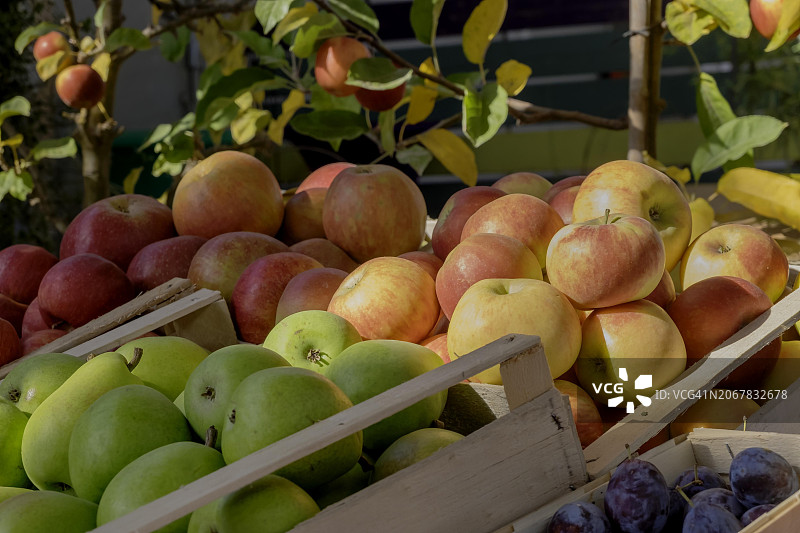 水果促销：苹果、梨、李子（德国莱茵兰-普法尔茨州）图片素材