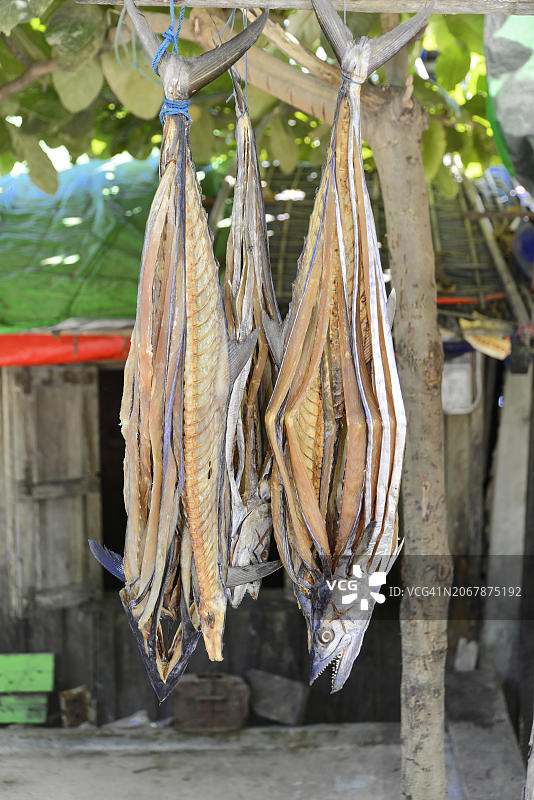 缅甸若开邦丹兑镇的鱼滩海滩，亚洲图片素材