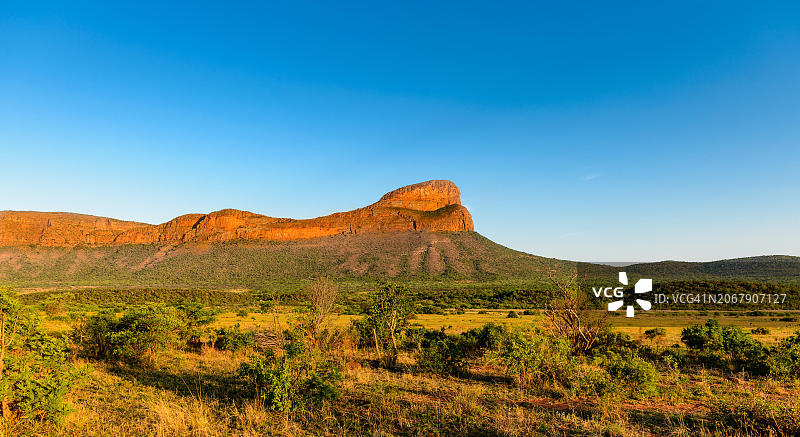 广阔的稀树草原景观，蓝色晴空下的山脉，南非林波波省水山地区图片素材