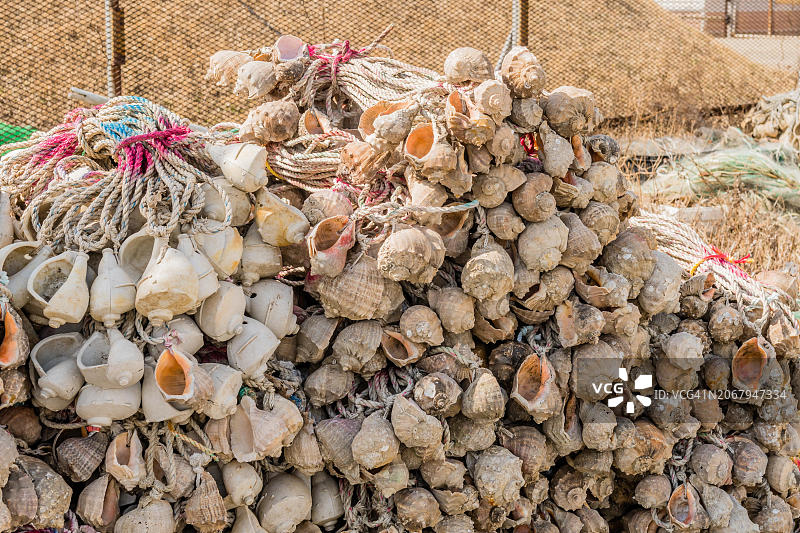 韩国平泽市绳索和贝壳制成的大型渔网特写图片素材