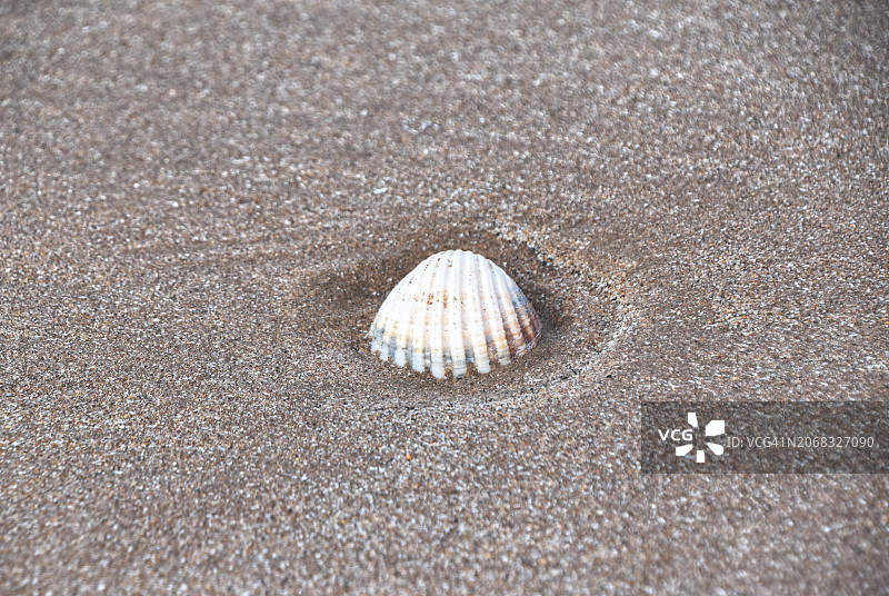 海滩一日图片素材