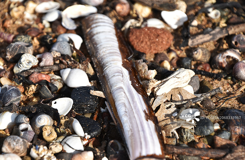 海滩一日图片素材