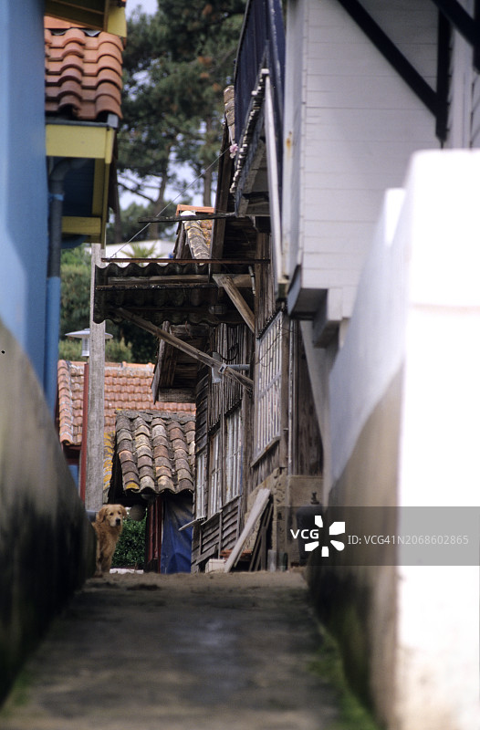 卡普费雷，牡蛎小屋图片素材