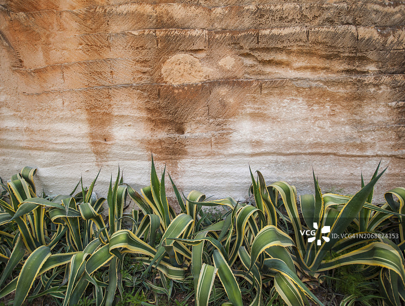 西西里法维尼亚纳废弃的凝灰岩采石场图片素材