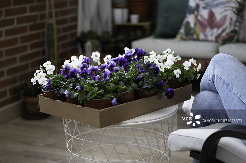 一个人坐在椅子上，桌子上放着一盒鲜花图片素材