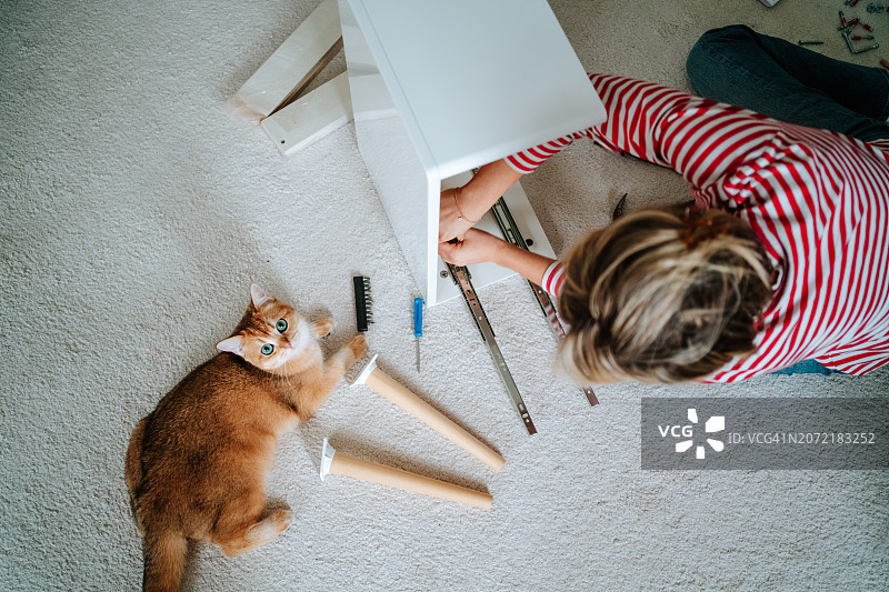 修理和组装家具与小猫图片素材