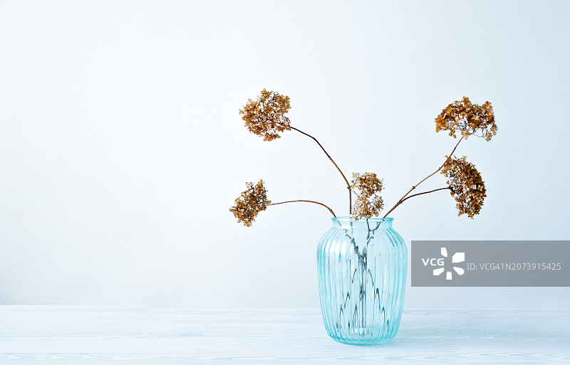 装有干花的蓝色玻璃花瓶图片素材