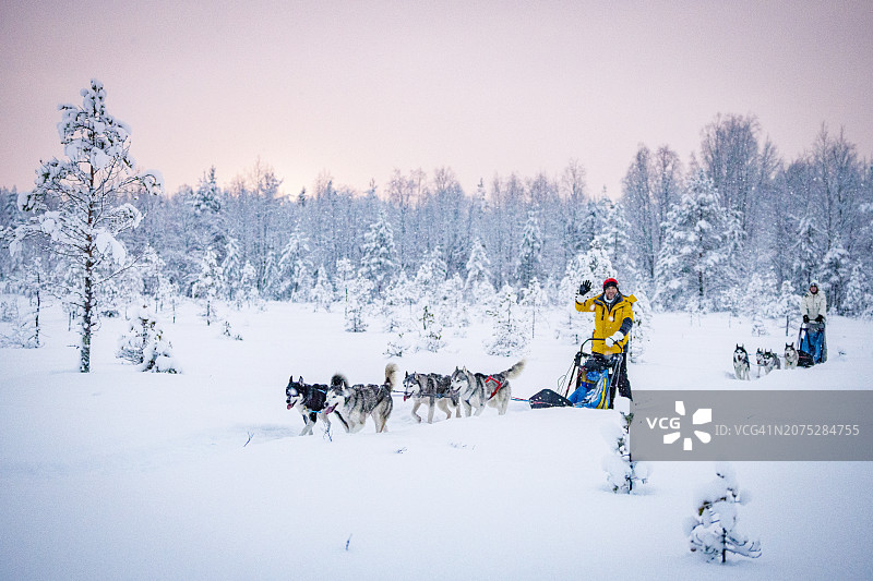 快乐的游客在雪林中乘坐狗拉雪橇图片素材