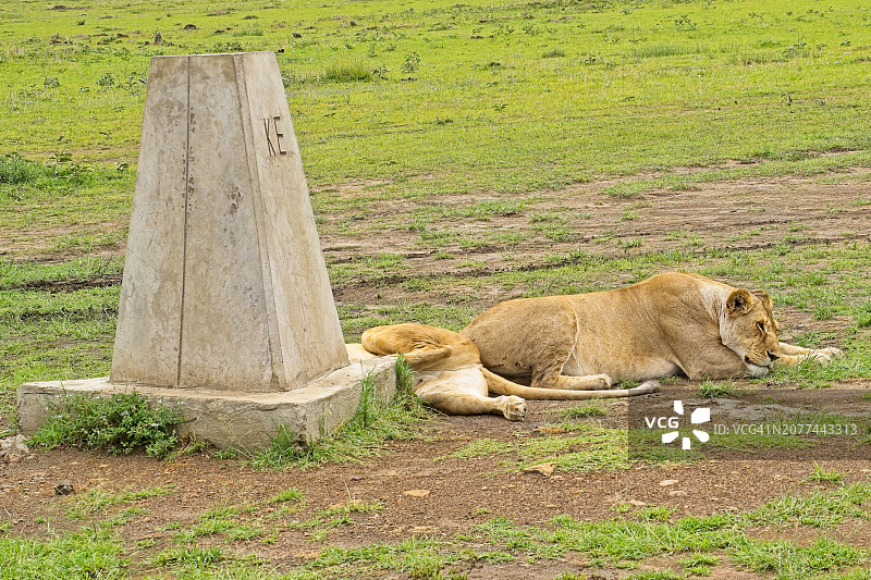 边境小憩图片素材