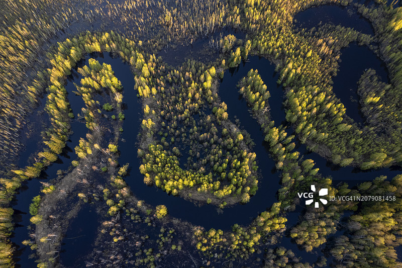 俄罗斯树木间的河流航拍图片素材
