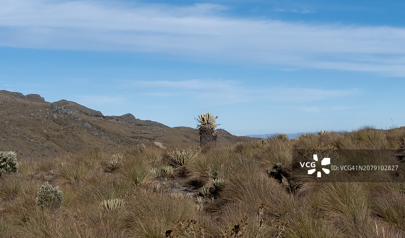 哥伦比亚风光图片素材