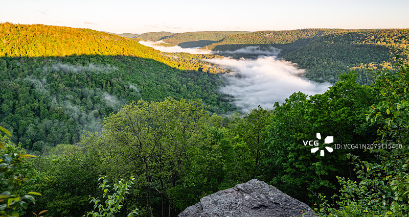 宾夕法尼亚州什鲁斯伯里市的河流与树木景观图片素材