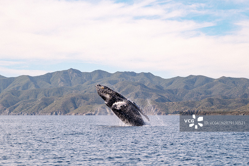 海狮天空背景风光图片素材