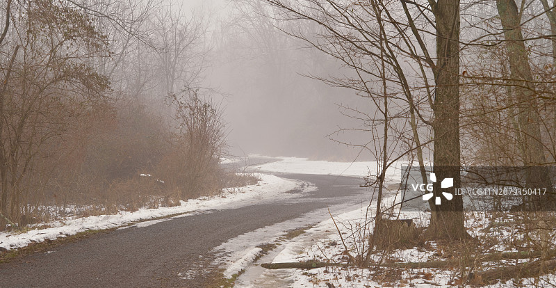 冬季光秃秃的树木旁的空旷道路，新不列颠，宾夕法尼亚州，美国图片素材