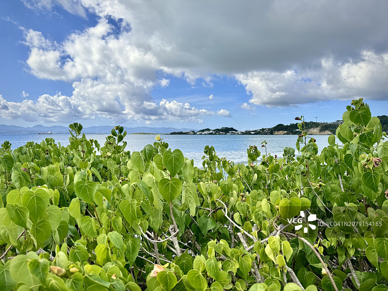 瓜德罗普勒戈西耶海景风光图片素材