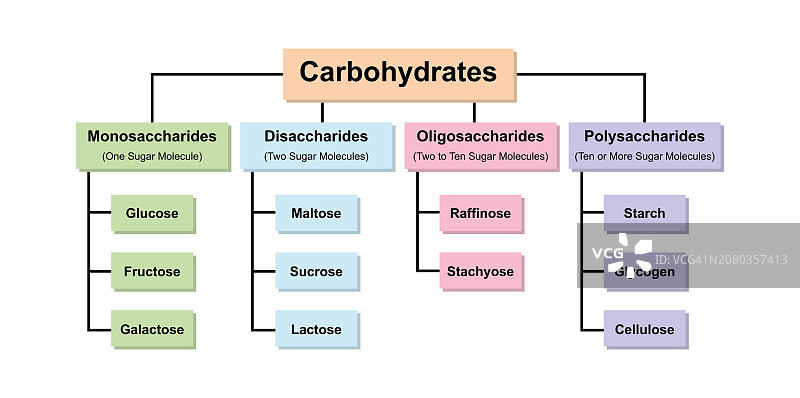 碳水化合物类型图图片素材