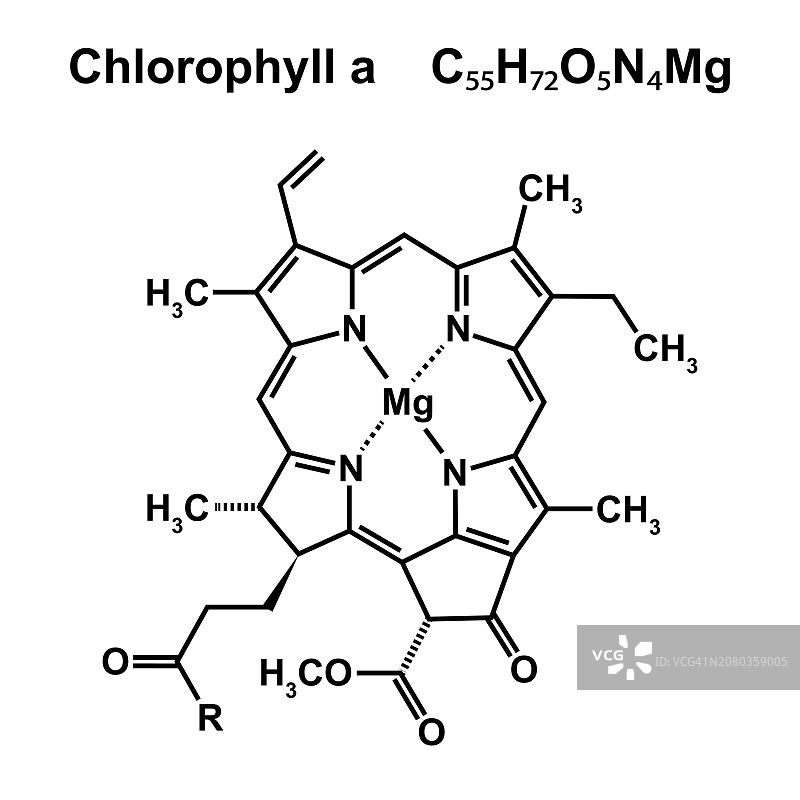 叶绿素a化学结构图图片素材