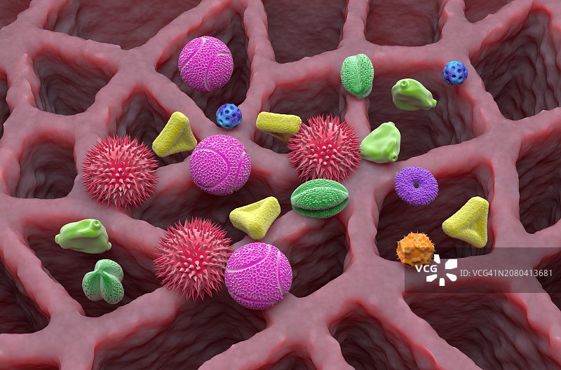 吸入的花粉粒，图示图片素材