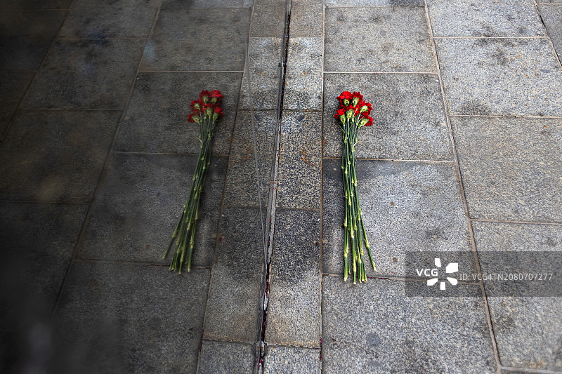 地面上的鲜花图片素材