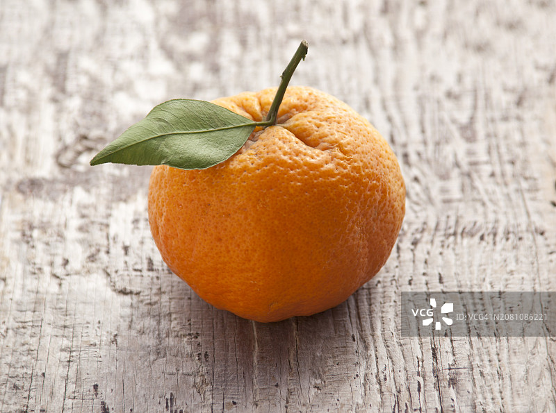 旧木面上的沙斯塔金橘图片素材