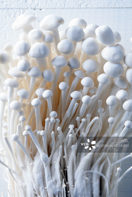 金针菇特写图片素材