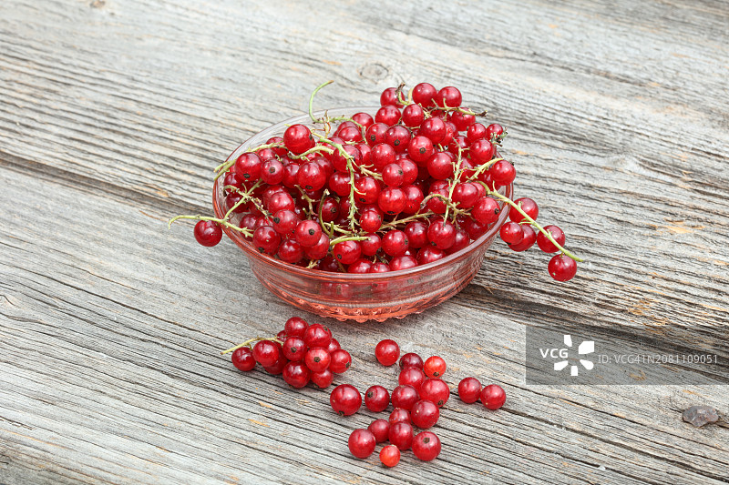 红醋栗图片素材