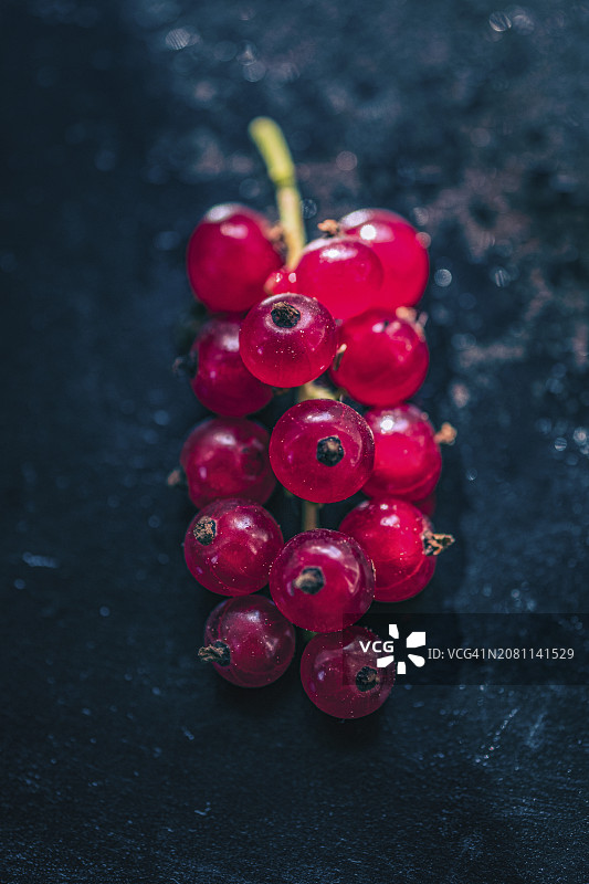 一小串红醋栗图片素材