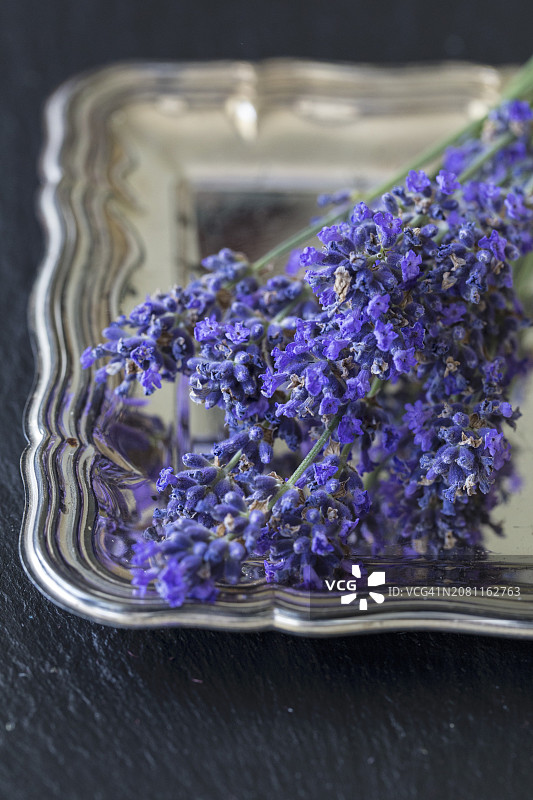 银色托盘上的薰衣草花图片素材