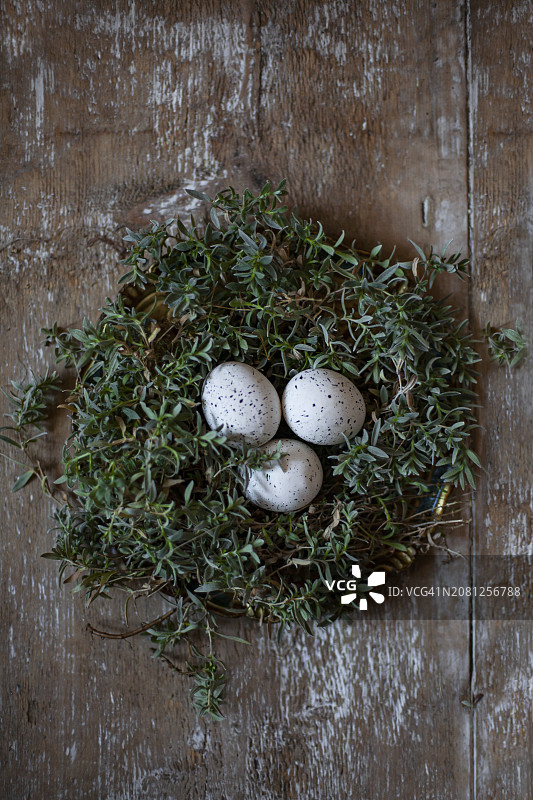 复活节彩蛋在一个窝里图片素材