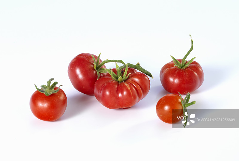 各种番茄图片素材