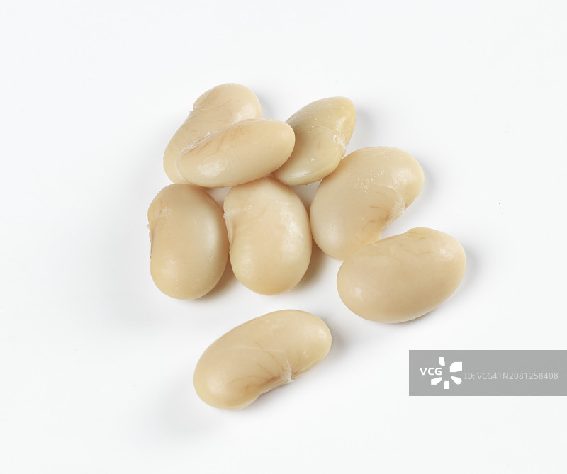 白色背景上的白芸豆图片素材