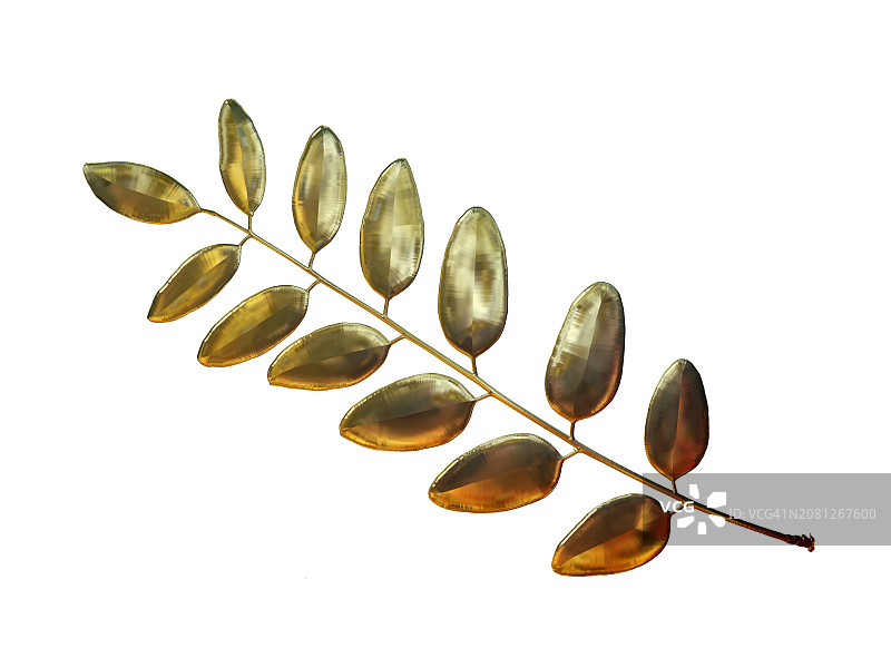 白色背景上的金色金属叶子小树枝装饰图片素材