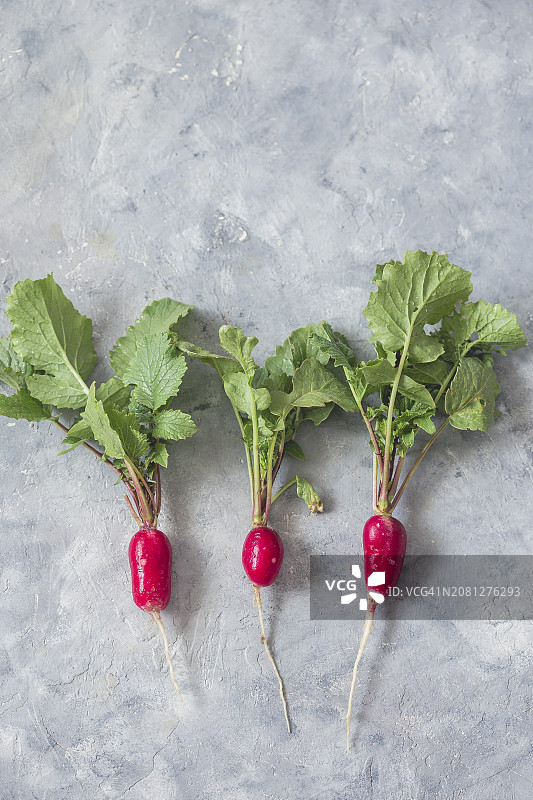 新鲜生萝卜（俯视图）图片素材