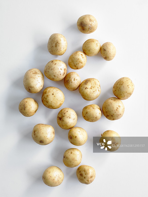 小土豆图片素材