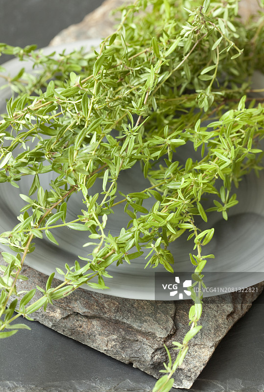 新鲜的夏季香薄荷图片素材