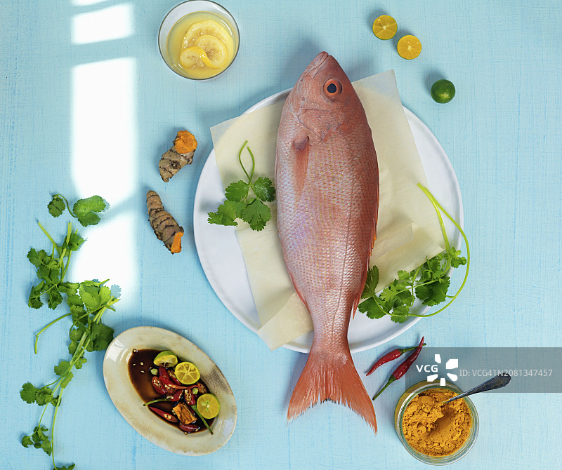 红鲷鱼图片素材