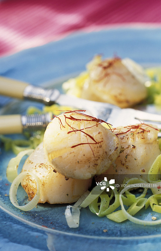 藏红花扇贝图片素材