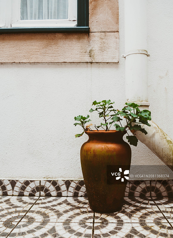 置于瓷砖露台背景下的赤陶盆栽图片素材