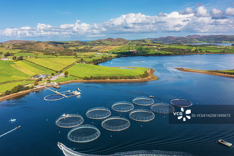 穆罗伊湾的渔场海鲜加工和水产养殖，北爱尔兰图片素材