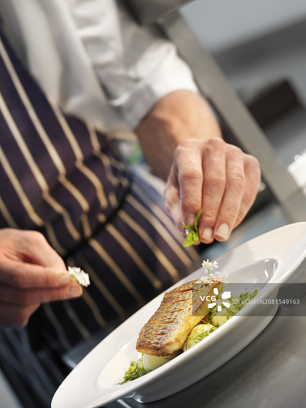 鱼类装饰图片素材