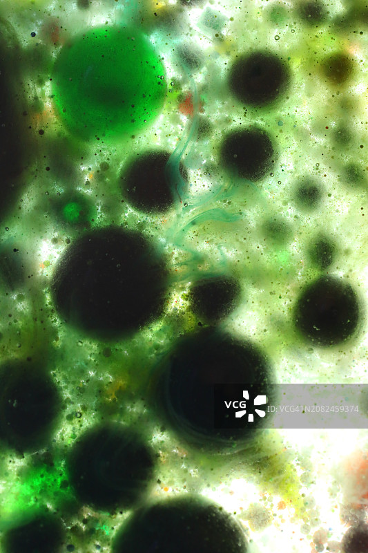 河流中的海洋生物图片素材