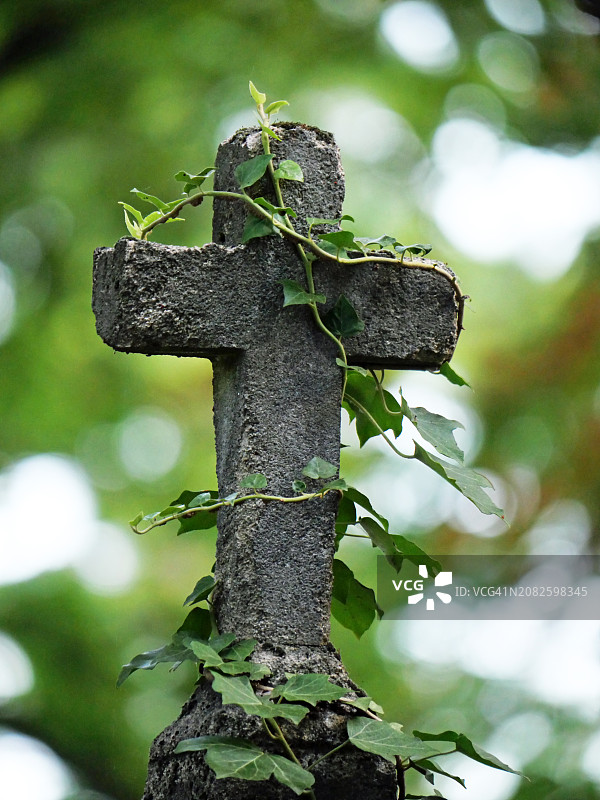 巴黎拉雪兹公墓的常春藤覆盖的石头十字架，阳光下的自然色彩图片素材
